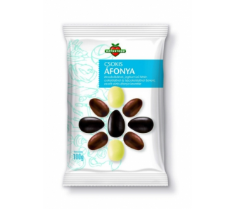 Naturfood Csokis áfonya 100g